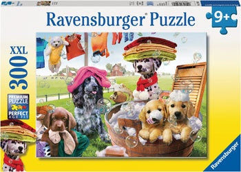 Rburg - Laundry Day 300pc