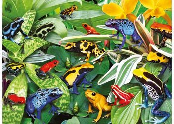 Rburg - Friendly Frogs Puzzle 300pc