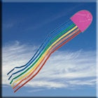 Jellyfish Kite SS