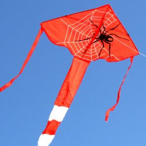Spider Delta Kites