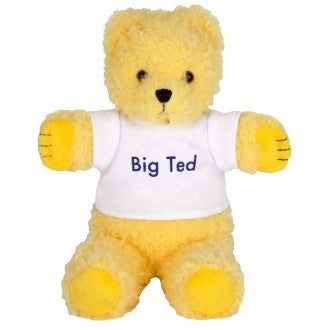 BIG TED BEANIE