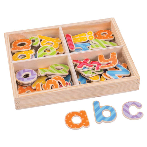 Big Jigs - Magnetic Lowercase Letters