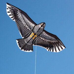 Eagle Kite